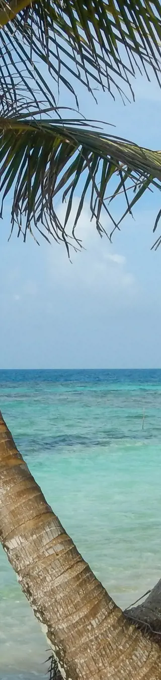 Inselwelten in Panama